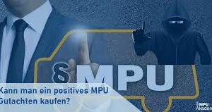 mpu gutachten kaufen