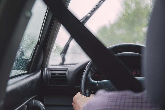 führerschein kaufen Irland